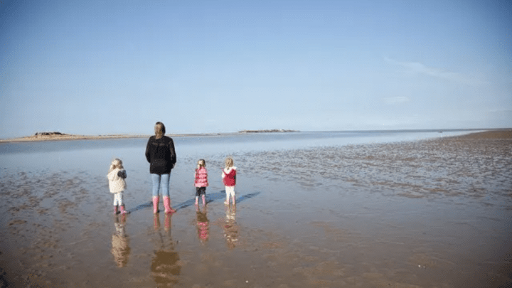 8 Free Things to do in West Kirby