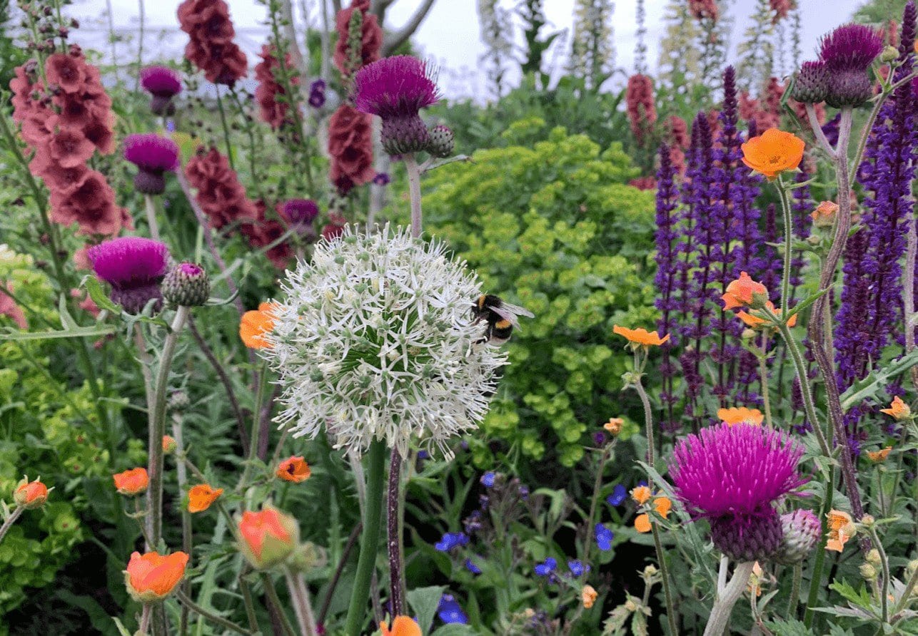 Review | RHS Chelsea Flower Show 2022