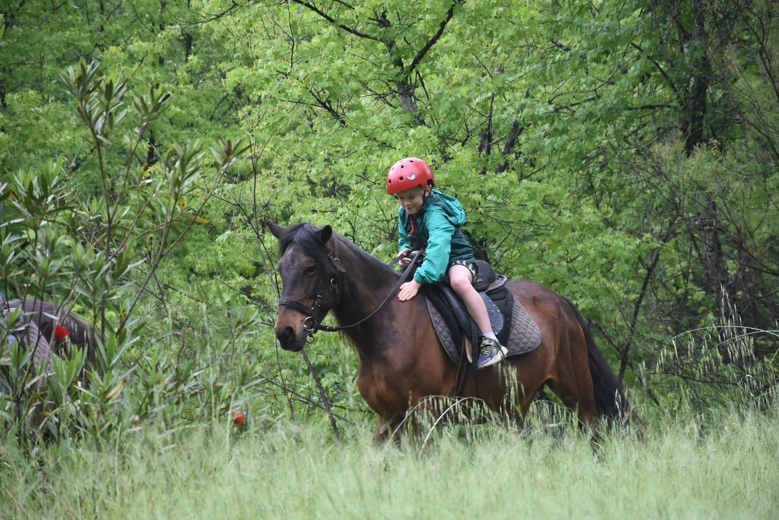 Horse Safari Turkey