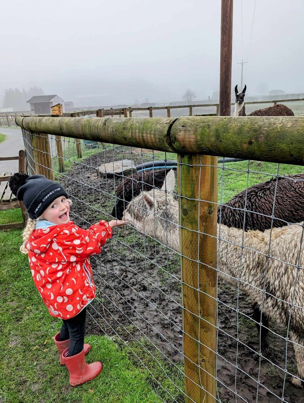 matlock farm park